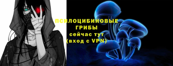 бошки Магас