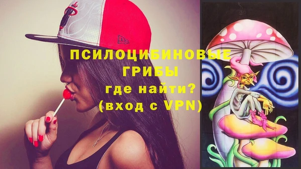 бошки Магас