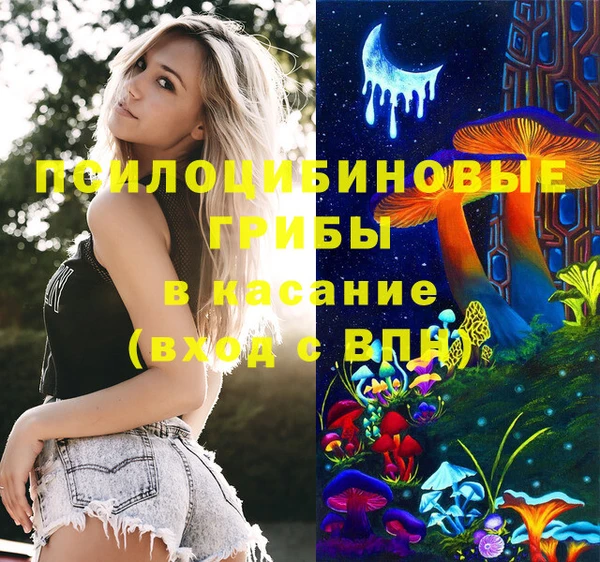 гидропоника Магадан