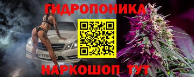 гашик Нарткала