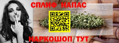 гашик Нарткала