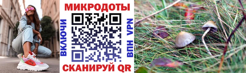 где найти наркотики  Учалы  ОМГ ОМГ зеркало  Псилоцибиновые грибы GOLDEN TEACHER 