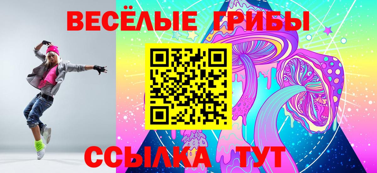 Галлюциногенные грибы ЛСД  Учалы  закладка  Галлюциногенные грибы мицелий 